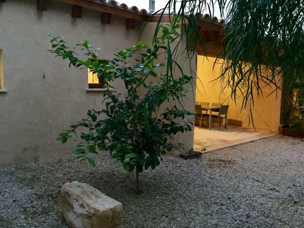 Almahome El Arenal  Exteriér fotografie
